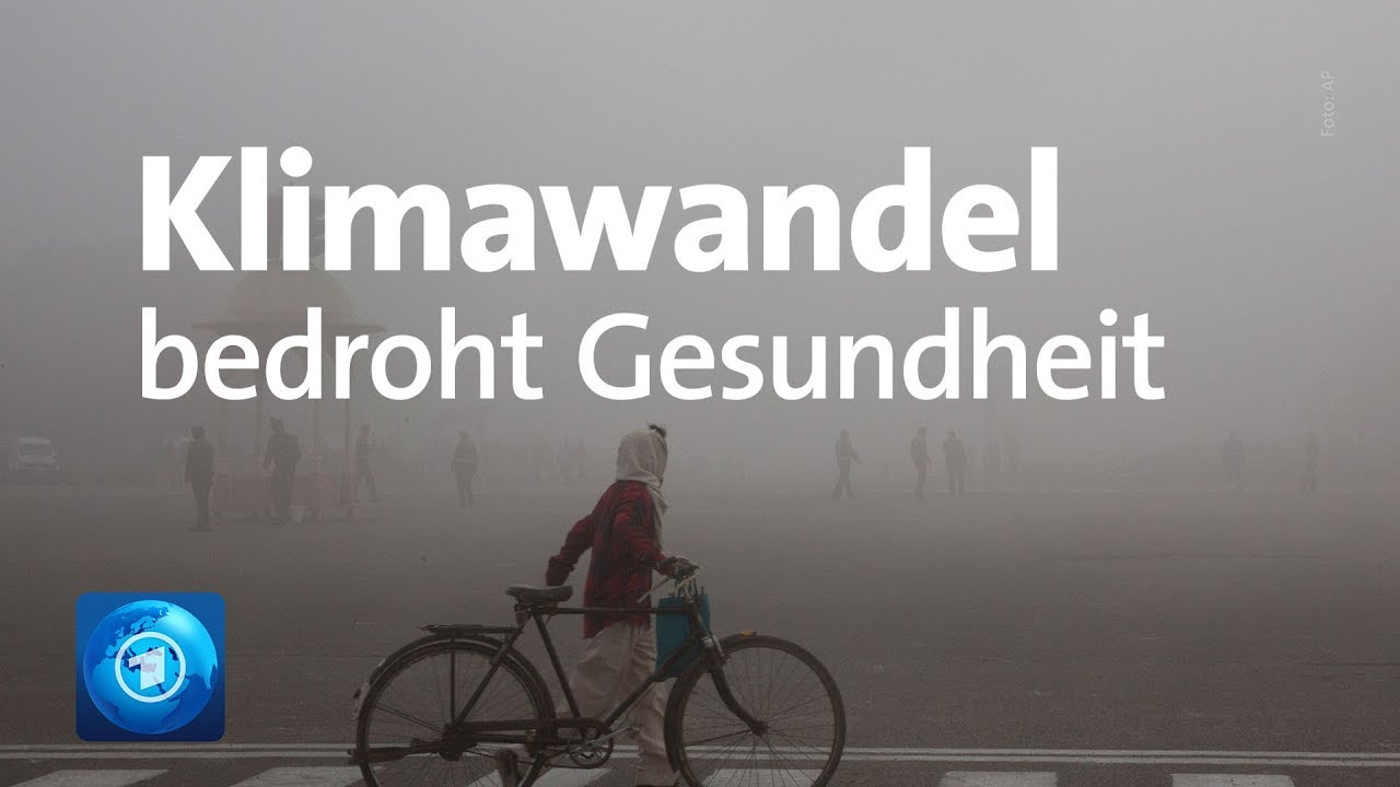 WHO warnt vor Gesundheitsgefahren durch den Klimawandel
