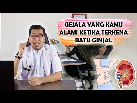 GEJALA YANG KAMU ALAMI KETIKA TERKENA BATU GINJAL - DOKTER SADDAM ISMAIL