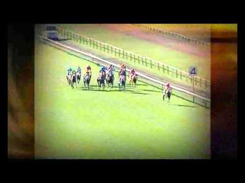 Argonaut - Gr1 Premiers Champion Stakes