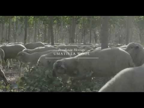 Pendleton Heritage  Umatilla Wool HD