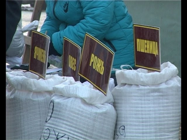 Сельскохозяйственная ярмарка: приемлемые цены?