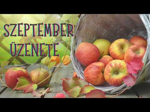 MILYEN ÜZENETEKET HORDOZ SZÁMODRA A SZEPTEMBER? ❄️🌟🫧#inspiráció #énidő #önfelfedezés #ilkafirka