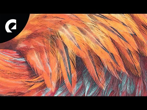 DJ DENZ The Rooster - Tha Heart (Royalty Free Music)
