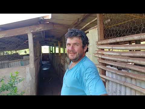 Sítio Santa Cecília, Andira pr 