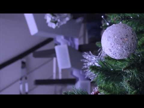 Ligabue - La neve se ne frega (videoclip)
