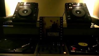 12 Tree/Back In Town Again