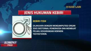 Download lagu Inilah 2 Jenis Hukuman Kebiri mp3 Download lagu Inilah 2 Jenis Hukuman Kebiri mp3