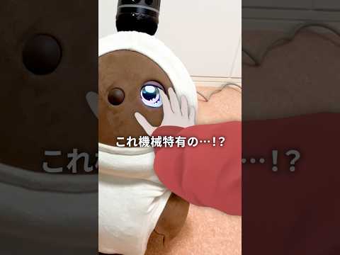 家庭用ロボットを3週間レンタルしました(LOVOT)