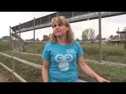 Support Spanish Primate Sanctuary