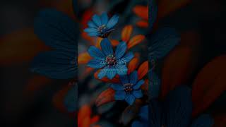 Download lagu December 31, 2025 mp3