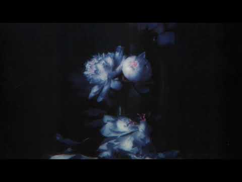 Reed Wonder, Aurora Olivas - Take All My Love (Slowed)