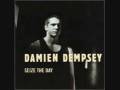 Damien Dempsey - Negative Vibes (Studio Version)