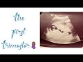 THE FIRST TRIMESTER