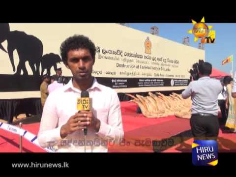 Govt. Destroys 387 Mil. Worth Blood Ivory