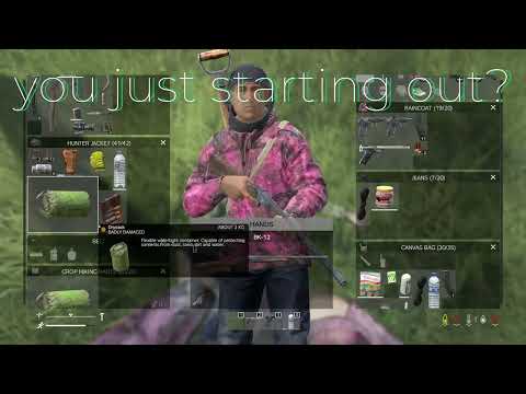 Dayz Make a good start