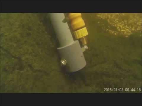 teichsauger schlammsau schlammsauger unterwasseraufnahme