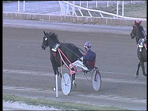 Trotto 17/04/2016 - 8° Corsa TRIS