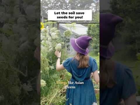 Soil as Seed Bank: A Gardening Hack for Permaculture