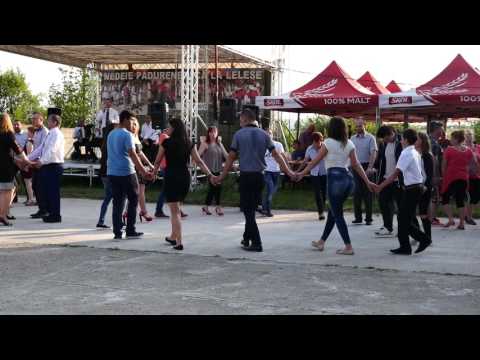 Dumitru Stoicanescu    Nedeie Padureneasca la Cerisor 2017 partea 1/8