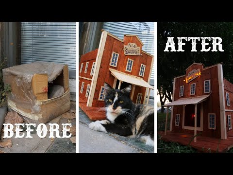 Stray Cat Deserves New Home ( cooling system and lights )