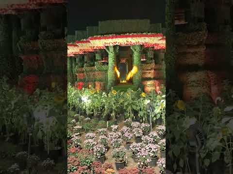 flowershow at Ahmedabad #fowers #ahmedabadflowershow #garden #flowers #love #travel