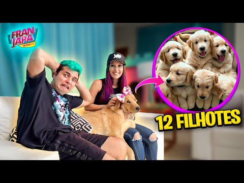 TROLEI O WIIZINHO DIZENDO QUE ERA 12 FILHOTES ! - Fran Japa