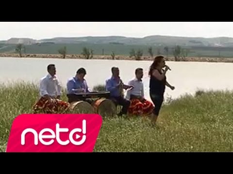 Azdavaylı Güldane  Kemaneci Kemal & Azdavaylı Ercan - Cevizin Yaprağı