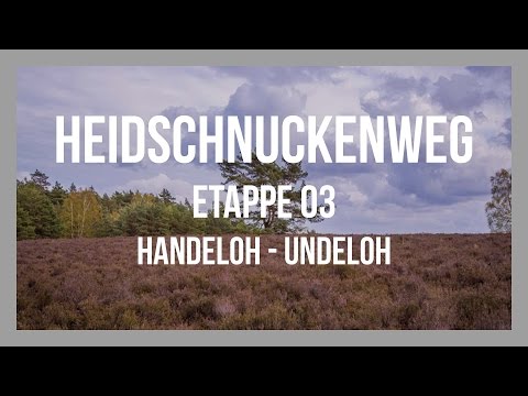 Heidschnuckenweg | Etappe 03 - Handeloh - Undeloh | Lüneburger Heide | GPS-Track