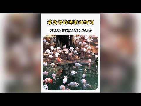 全網最離譜的兩家動物園