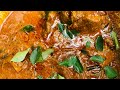 ബീഫ് ചാപ്സ് സിംപിളായി ഉണ്ടാക്കാം DRY BEEF 