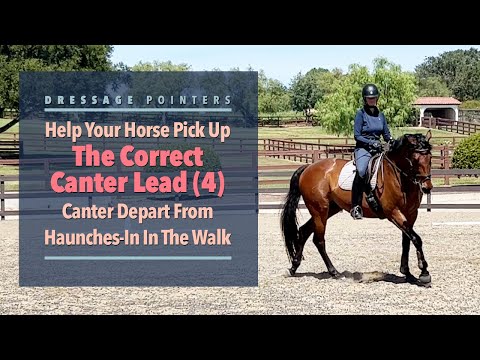 Help Your Horse Pick Up The Correct Canter Lead (4): Canter Depart From Haunches-In In The Walk