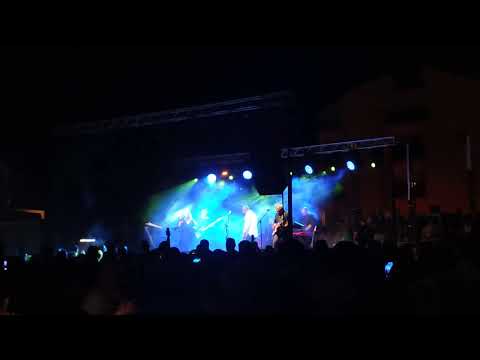 Dražen Zečić - Lišo bez punta