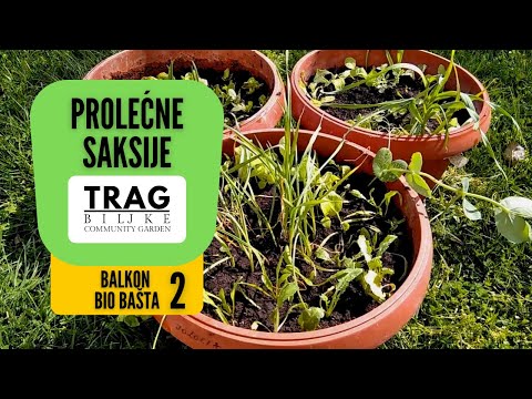 PROLEĆNE SAKSIJE - BALKON BIOBAŠTA 2 (2021) [TRAG BILJKE]