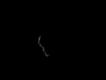 High Strangeness in the Night Sky