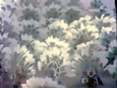 Fralinger String Band 1968- The Bells of Saint Mary- First Prize