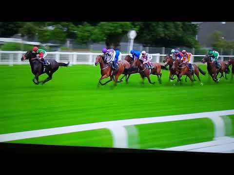 Royal Ascot 2018 Duke of Cambridge Stakes- Al Jazzi