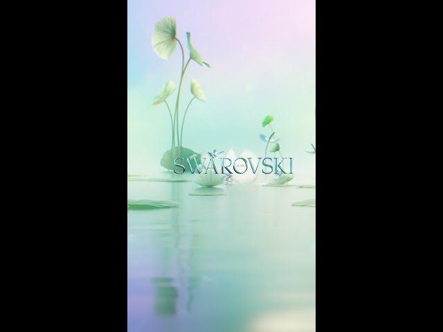 Vídeo relacionado con Swarovski x Ariana Grande Pulsera, Tallas mixtas, Presenta un Círculo Completo de Cristales en Forma de Corazón, Pavé transparente, Baño de rodio, Blanca