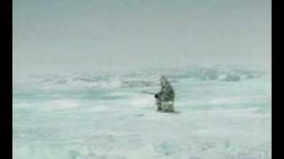 eskimo vs. killer whale