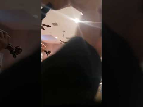 Promotional video thumbnail 1 for Mariachi Elegancia