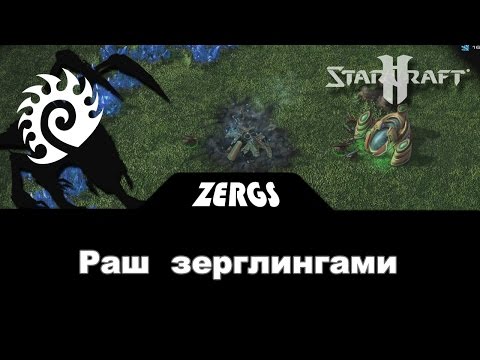 Раш зерглингами: Big Game Hunters 4x4