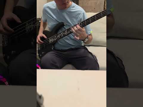 Fievre Looka Mix El cometa, el pachuco (bajo cover) (lo intente) #bass #cumbia 