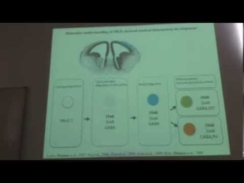 IMBB Seminar - Myrto Denaxa - May 21, 2014