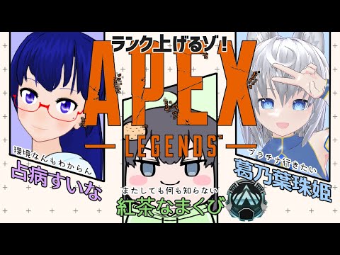 【APEX】Vtuber紅茶なまくび【たまちゃん＆すいなさん】