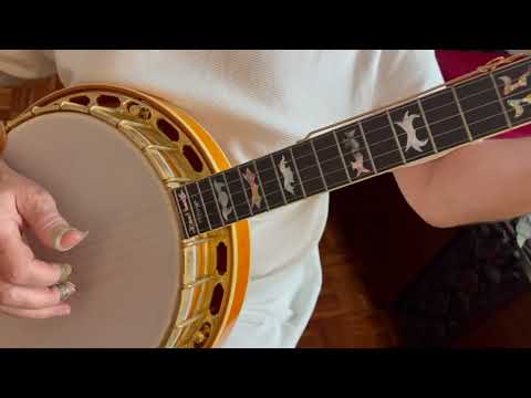 Viermont Luthiers Custom Artisan 5-String Banjo 1989 – One-Off Handcrafted Flame Maple Banjo – Serial B0320 image 13