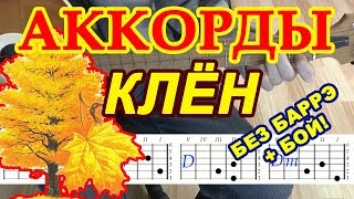 Клен Аккорды ♪ Синяя птица ♫ Разбор песни на гитаре ? Бой Текст
