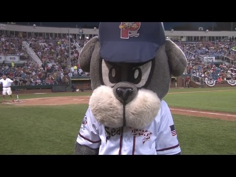 Slugger the Sea Dog - 2016 Season Highlights