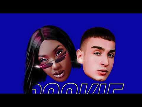 aya nakamura feat. capo plaza - pookie (sm_ark private party mix)