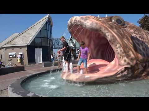 De 7 fonteinen tocht / Die sieben Brunnen-Tour