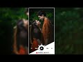 Jhuki Jhuki Nazar Teri Kamal Kar Gayi Whatsapp Status 90s Hindi Old Song Whatsapp Status