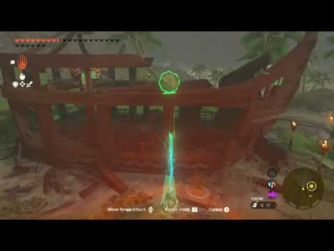 Planting a palm tree in the Lurelin treasure shop | The Legend of Zelda Tears of the Kingdom Totk